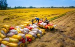 Nhiều chính sách mới quan trọng liên quan đến kinh tế có hiệu lực từ tháng 3/2025