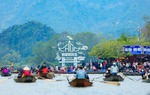 Thủ tướng yêu cầu cán bộ, công chức, viên chức không tổ chức du Xuân, chúc Tết trong giờ làm việc