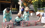 Đầu năm, mẹ đưa con đi chùa, thả chim phóng sinh mong các con biết hướng thiện