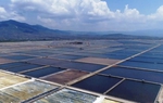 Bộ Tài chính đề xuất loạt chính sách miễn giảm tiền sử dụng đất, thuê đất