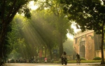 Vạt nắng dịu dàng