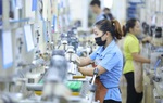 Thị trường lao động đầu năm 2025: Nhu cầu tuyển dụng tăng 19% so với năm trước