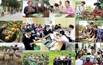 Tín dụng chính sách xã hội: 22 năm đồng hành cùng phụ nữ xóa đói giảm nghèo