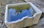 Cảnh báo nguy cơ sốt xuất huyết Dengue bùng phát trái mùa