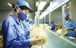 Thủ tướng chỉ thị thúc đẩy phát triển doanh nghiệp nhỏ và vừa