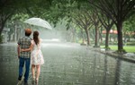 Truyện ngắn: Đội mưa mà về