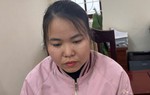 Bắt đối tượng nữ thuê hàng chục ô tô tự lái rồi mang đi bán