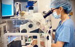 Dư thừa hàng chục ngàn phôi sau khi làm thụ tinh trong ống nghiệm: Xử lý thế nào?