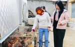 Hỗ trợ phụ nữ là nạn nhân mua bán người ở tỉnh Thanh Hóa