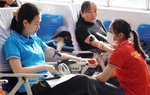 Quảng Ngãi: Gần 300 cán bộ, hội viên phụ nữ tham gia hiến máu tình nguyện