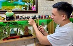Ông bố 3 con với thú chơi xe máy đất sét độc lạ