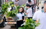Từ cam kết đến hành động: ABBANK hoàn thành mục tiêu tặng 100.000 cây quế cho người dân Yên Bái