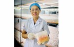 Dù gia đình phản đối, U60 vẫn quyết khởi nghiệp nuôi cấy nấm đông trùng hạ thảo