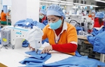 Mỗi năm lực lượng lao động được bổ sung khoảng 500.000 người