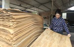 Thúc đẩy tư duy thị trường tốt cho phụ nữ nông thôn làm kinh tế