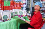 U50 chuyển đổi xanh, gây dựng hợp tác xã dược liệu sinh thái