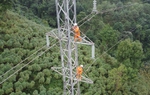 Điện lực miền Bắc tích cực áp dụng các công nghệ mới vào vận hành hệ thống điện
