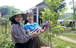 Giúp chị em "giảm nghèo thông tin" thực chất hơn
