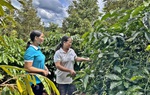 Đắk Lắk: Đề án 939 tạo tiền đề cho phụ nữ phát triển kinh tế