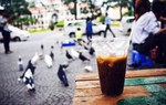 Lắng đọng những ca khúc của người trẻ về Sài Gòn