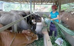 Trạm Tấu, Yên Bái: Nâng cao hiệu quả sử dụng nguồn vốn phát triển giảm nghèo