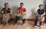 Nam Định đẩy mạnh đào tạo nghề, tạo việc làm cho phụ nữ nông thôn  