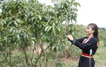 Nhờ được chia sẻ thông tin, kiến thức, nhiều phụ nữ vùng cao Bắc Giang đã thoát nghèo
