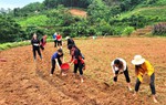 Hà Giang: Nhiều rào cản khiến phụ nữ Tân Nam khó thoát nghèo