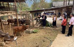 Phụ nữ Sơn La thoát nghèo từ nguồn vốn vay ưu đãi