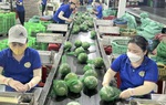 Bộ Tài chính: Việc Mỹ áp dụng thuế đối ứng 46% sẽ gây ảnh hưởng đến các ngành sản xuất của Việt Nam