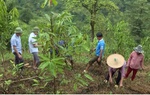 Lai Châu: Nỗ lực nâng cao nhận thức, kỹ năng cho người Mảng thoát nghèo