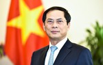 Thành lập Tổ công tác phản ứng nhanh với chính sách thuế của Hoa Kỳ