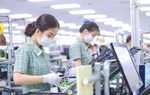 Khảo sát tác động của chính sách thuế đối ứng đến các doanh nghiệp xuất khẩu sang Hoa Kỳ