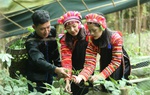 Lai Châu: Đẩy mạnh công tác giảm nghèo hiệu quả