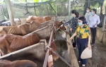 Yên Bái: Nỗ lực thực hiện công tác giảm nghèo bền vững