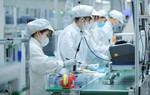 Sửa đổi, cập nhật Chương trình hành động của Chính phủ thực hiện Nghị quyết 57