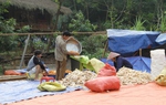 Giải pháp bảo đảm sinh kế cho người lao động sau thiên tai