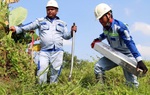 TPHCM thu hồi đất của hơn 2.100 trường hợp để làm cao tốc đi Mộc Bài