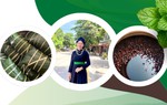 Nữ doanh nhân Làng Nủ vượt khó, tìm cơ hội sau bão Yagi