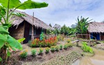 Truyện ngắn: Về với cội nguồn