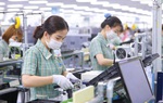 Thủ tướng yêu cầu tạo lập môi trường đầu tư kinh doanh thuận lợi cho doanh nghiệp