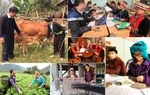 Điều chỉnh một số nội dung Chương trình phát triển kinh tế xã hội vùng dân tộc thiểu số và miền núi