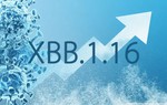 Biến thể XBB.1.16 của Omicron khiến số ca nhiễm Covid-19 tại Thái Lan gia tăng có nguy hiểm không?