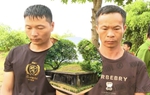 Thanh Hóa: Khởi tố 2 đối tượng người nước ngoài xâm phạm mộ Vua Lê Túc Tông