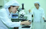 Tạo điều kiện để nữ trí thức tham gia nghiên cứu, phát triển khoa học công nghệ