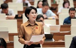 Đại biểu Quốc hội: Cần cơ chế giám sát nội bộ, bảo mật thông tin người tố cáo