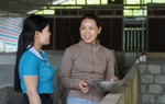 Góp nhặt thông tin, dẫn lối hành trình đổi đời cho phụ nữ ở Châu Tiến