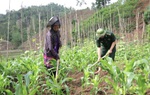 Nhiều cách làm hay, mô hình sáng tạo giúp người dân biên giới Na Cô Sa giảm đói nghèo 