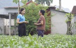 Phụ nữ dân tộc Thái thoát nghèo nhờ trồng dược liệu ứng dụng công nghệ cao