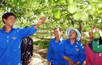4 giải pháp "tiếp sức" phụ nữ dân tộc thiểu số khởi nghiệp
